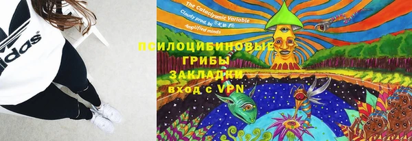 дурь Богородск